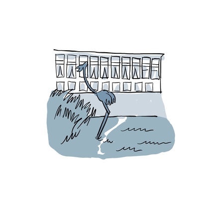 02 jardins de l hotel de ville le havre poi petit