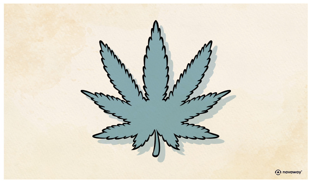 14 le musee du cannabis poi grand