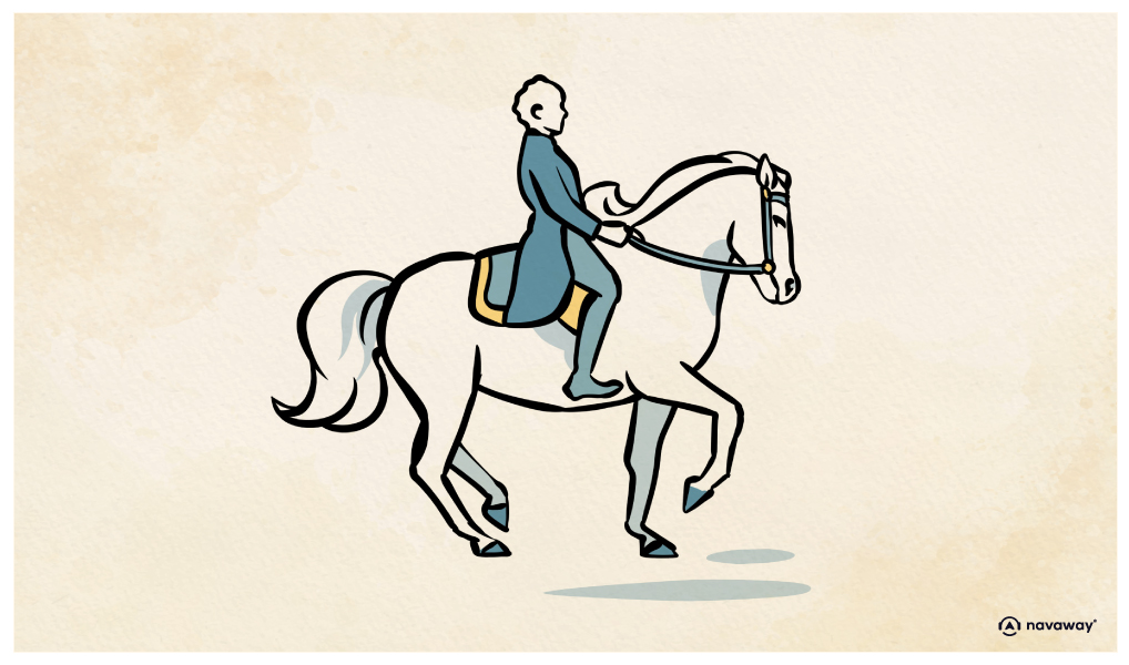 20 ecole d equitation espagnole poi grand