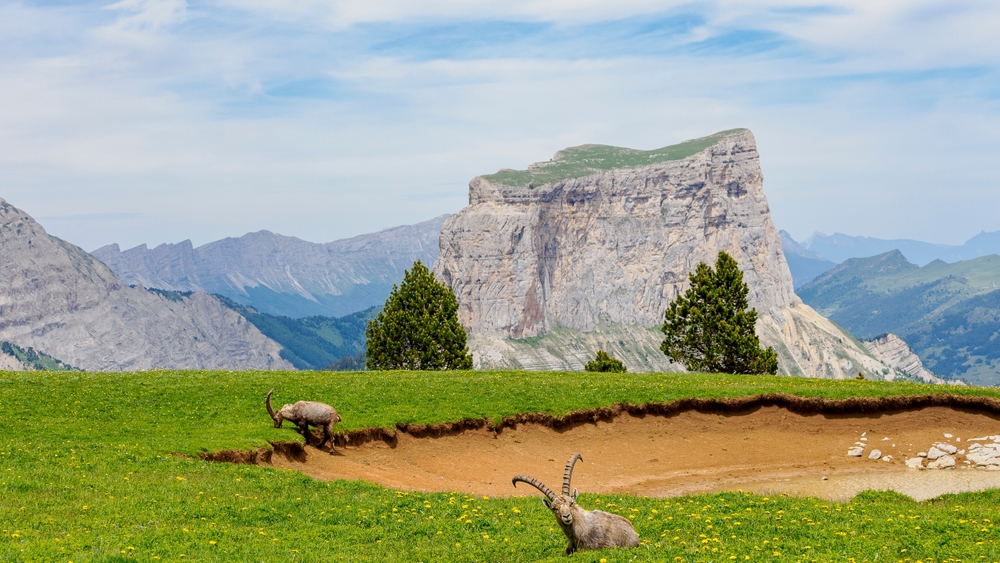The,Tête,Chevallière,Pond,And,Ibexes,Against,A,Backdrop,Of