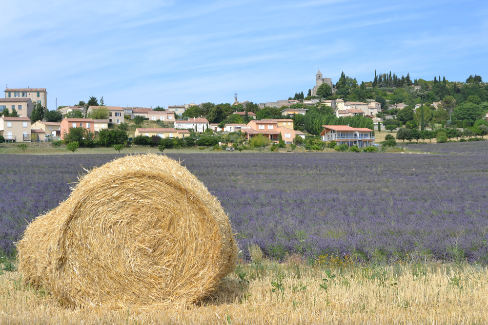 Walk,In,The,Luberon,,Saint,Michel,De,L'observatoire,And,Banon